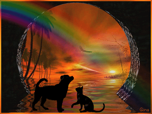 Golden Indian Summer´s Zucht Golden Retriever Regenbogenbrücke
